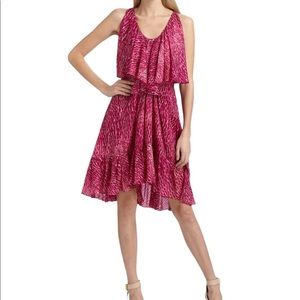 Cynthia Steffe Printed Silk Chiffon Dress